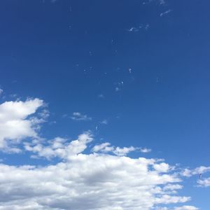 Meet your Posher, Sandy